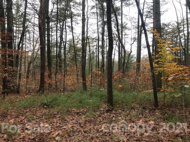 0 Hebron Road Hendersonville, NC 28739 - Photo 15 of 28 a big yard with lots of green space and trees