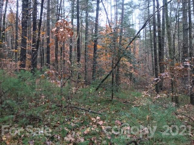 0 Hebron Road Hendersonville, NC 28739 - Photo 16 of 28 a view of forest