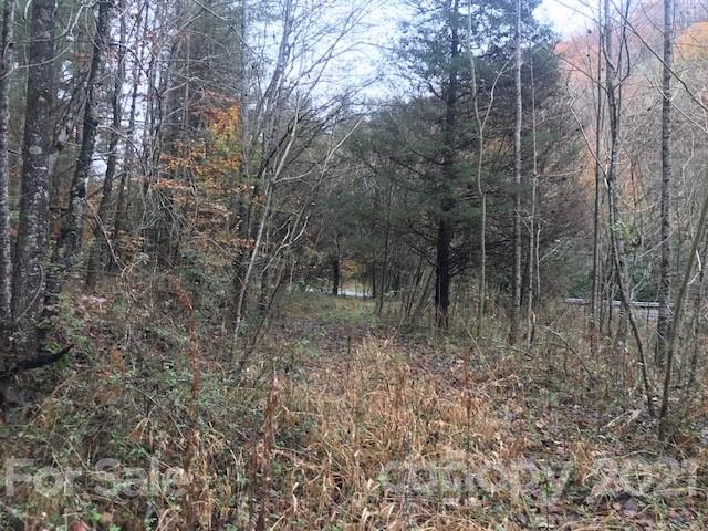 0 Hebron Road Hendersonville, NC 28739 - Photo 19 of 28 a view of a forest filled with trees