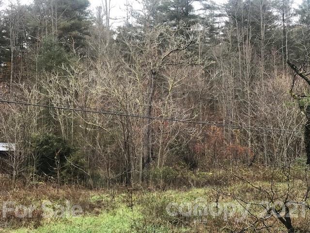 0 Hebron Road Hendersonville, NC 28739 - Photo 21 of 28 a view of a yard