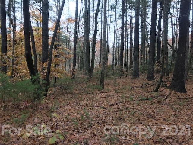 0 Hebron Road Hendersonville, NC 28739 - Photo 22 of 28 a backyard of a house with lots of green space