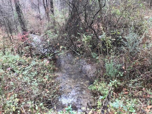 0 Hebron Road Hendersonville, NC 28739 - Photo 23 of 28 a view of a forest with a tree