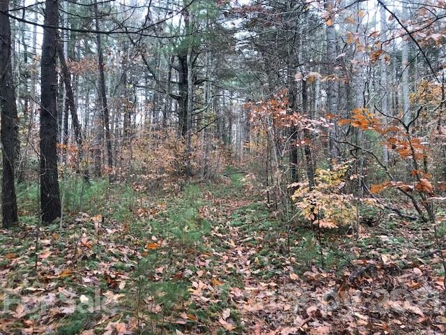 0 Hebron Road Hendersonville, NC 28739 - Photo 24 of 28 a view of a forest with lots of trees