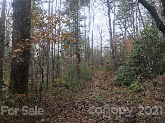 0 Hebron Road Hendersonville, NC 28739 - Photo 25 of 28 a view of a forest with trees in the background