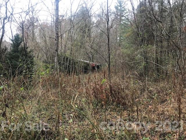 0 Hebron Road Hendersonville, NC 28739 - Photo 26 of 28