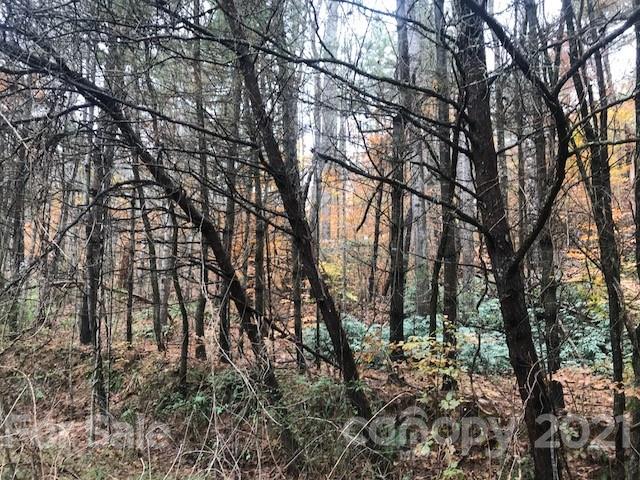 0 Hebron Road Hendersonville, NC 28739 - Photo 27 of 28