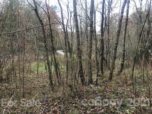 0 Hebron Road Hendersonville, NC 28739 - Photo 5 of 28 a view of a yard with lots of bushes