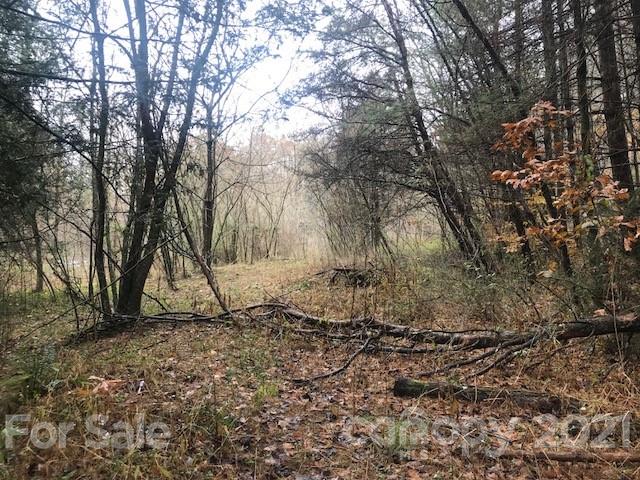 0 Hebron Road Hendersonville, NC 28739 - Photo 6 of 28 a view of a yard with a tree