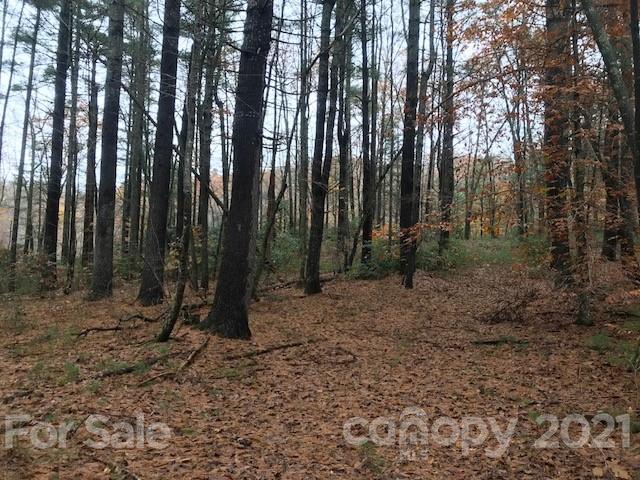 0 Hebron Road Hendersonville, NC 28739 - Photo 9 of 28 a view of outdoor space with lots of trees
