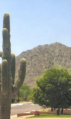 2624 East Mountain View Road Phoenix, AZ 85028 - Photo 1 of 6 Primary Photo