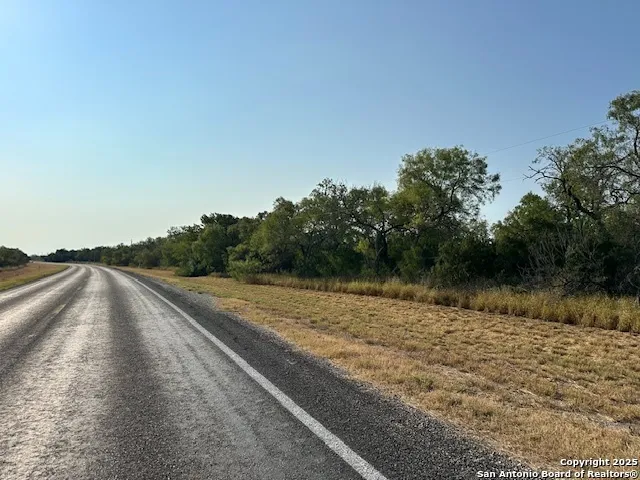 a view of river and trees