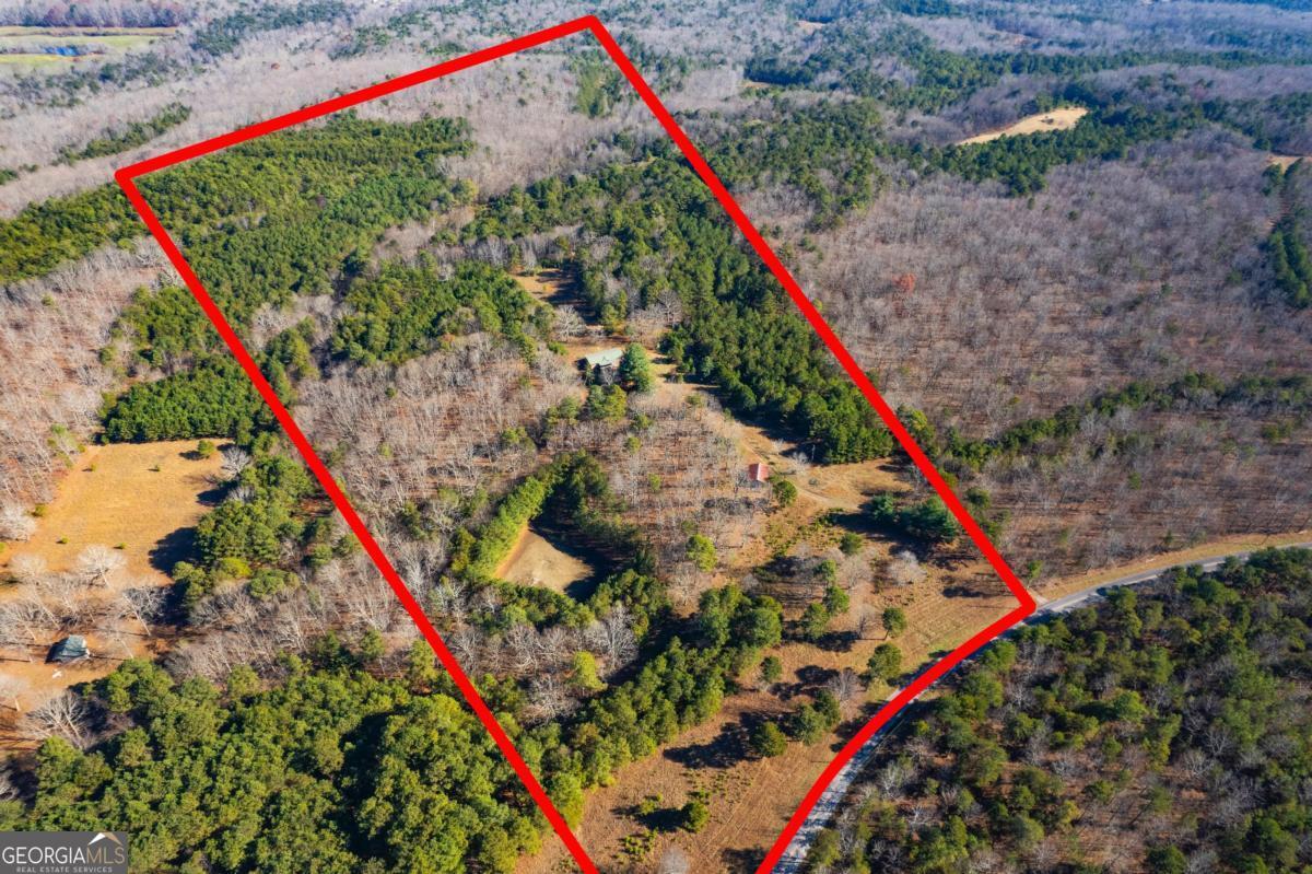 4176 State Line Road Menlo, GA 30731 - Photo 1 of 1 a close up of a plant in a park