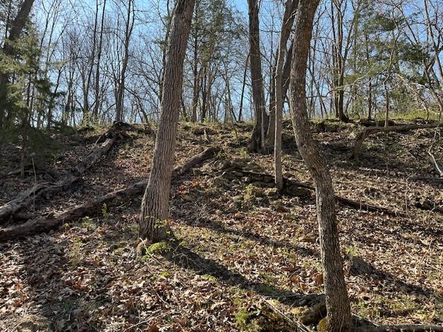 5 Vermont Road Rantoul, KS 66079 - Photo 4 of 12