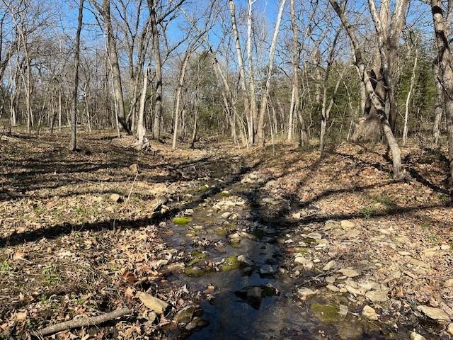 5 Vermont Road Rantoul, KS 66079 - Photo 5 of 12
