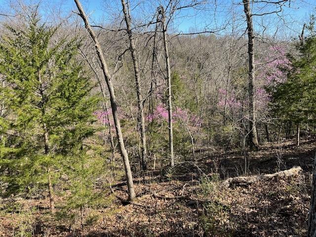 5 Vermont Road Rantoul, KS 66079 - Photo 7 of 12