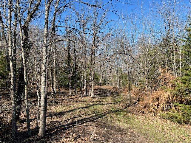 5 Vermont Road Rantoul, KS 66079 - Photo 8 of 12