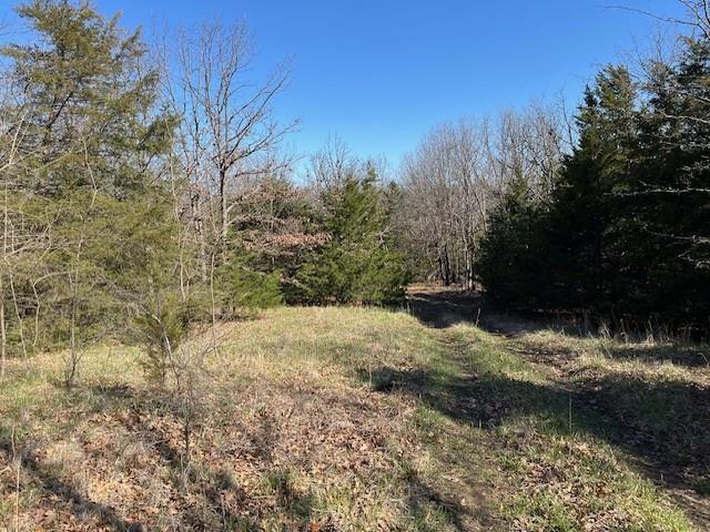 5 Vermont Road Rantoul, KS 66079 - Photo 10 of 12