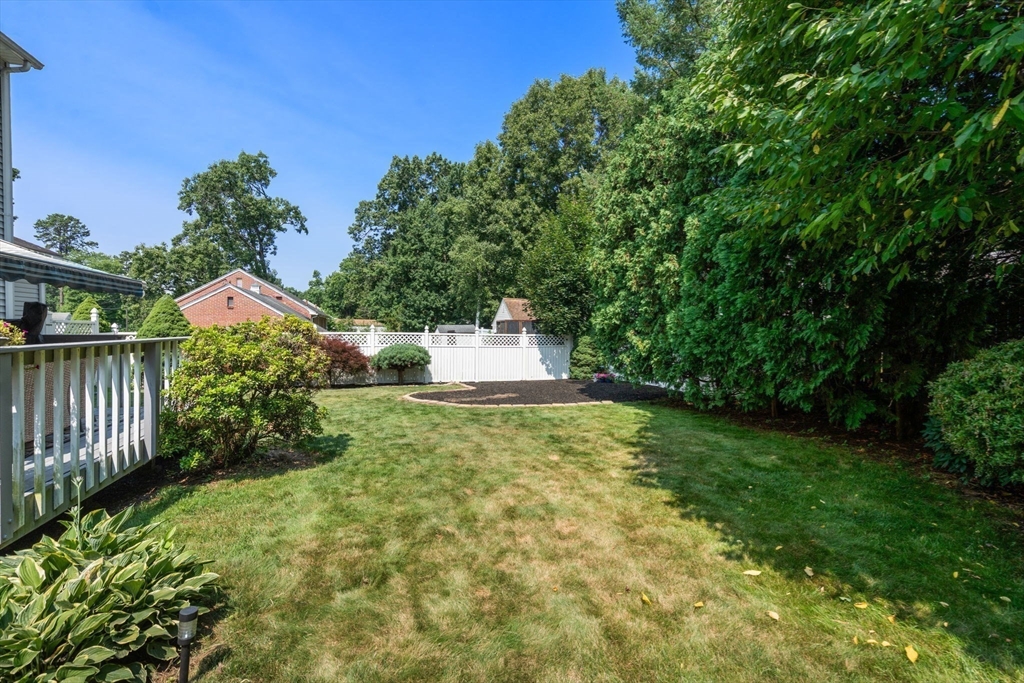 44 Fallston Street Springfield, MA 01119 - Photo 36 of 39