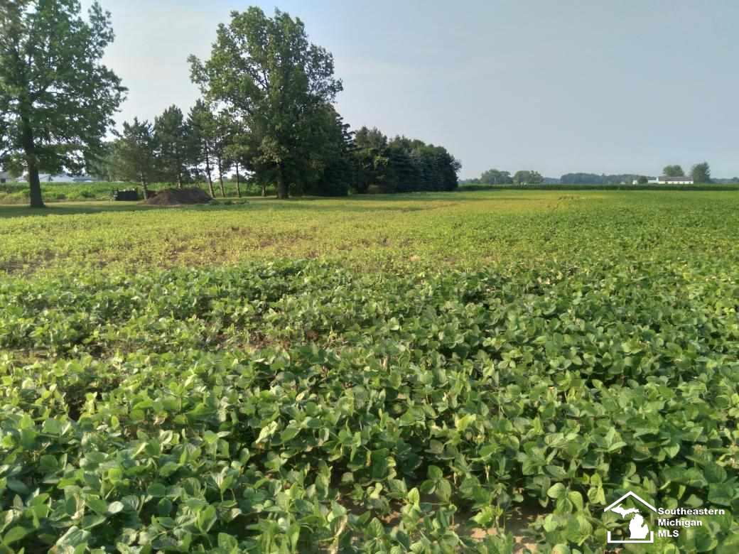 0 Blazer Road Maybee, MI 48159 - Photo 10 of 29