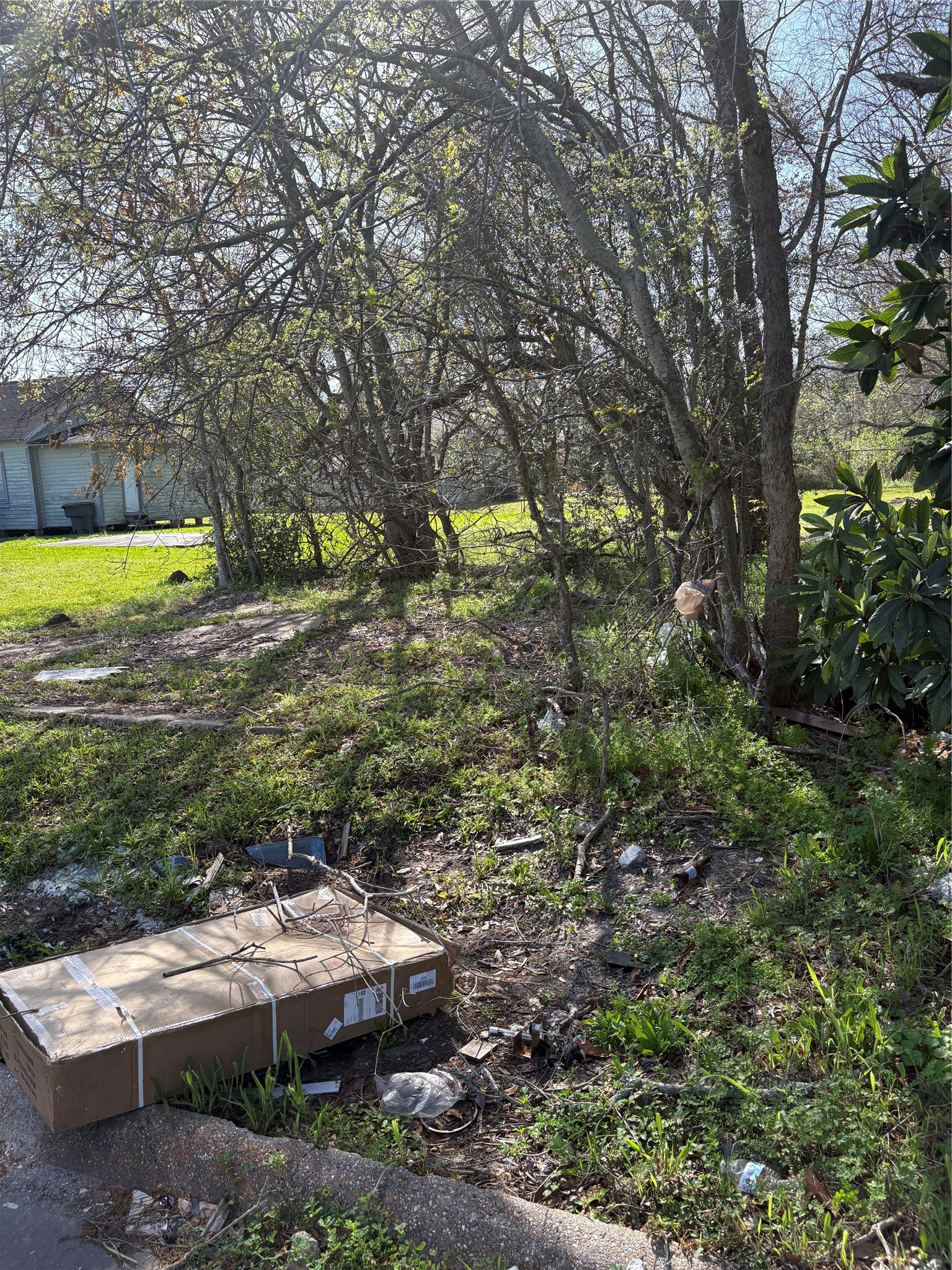 a view of yard and swimming pool