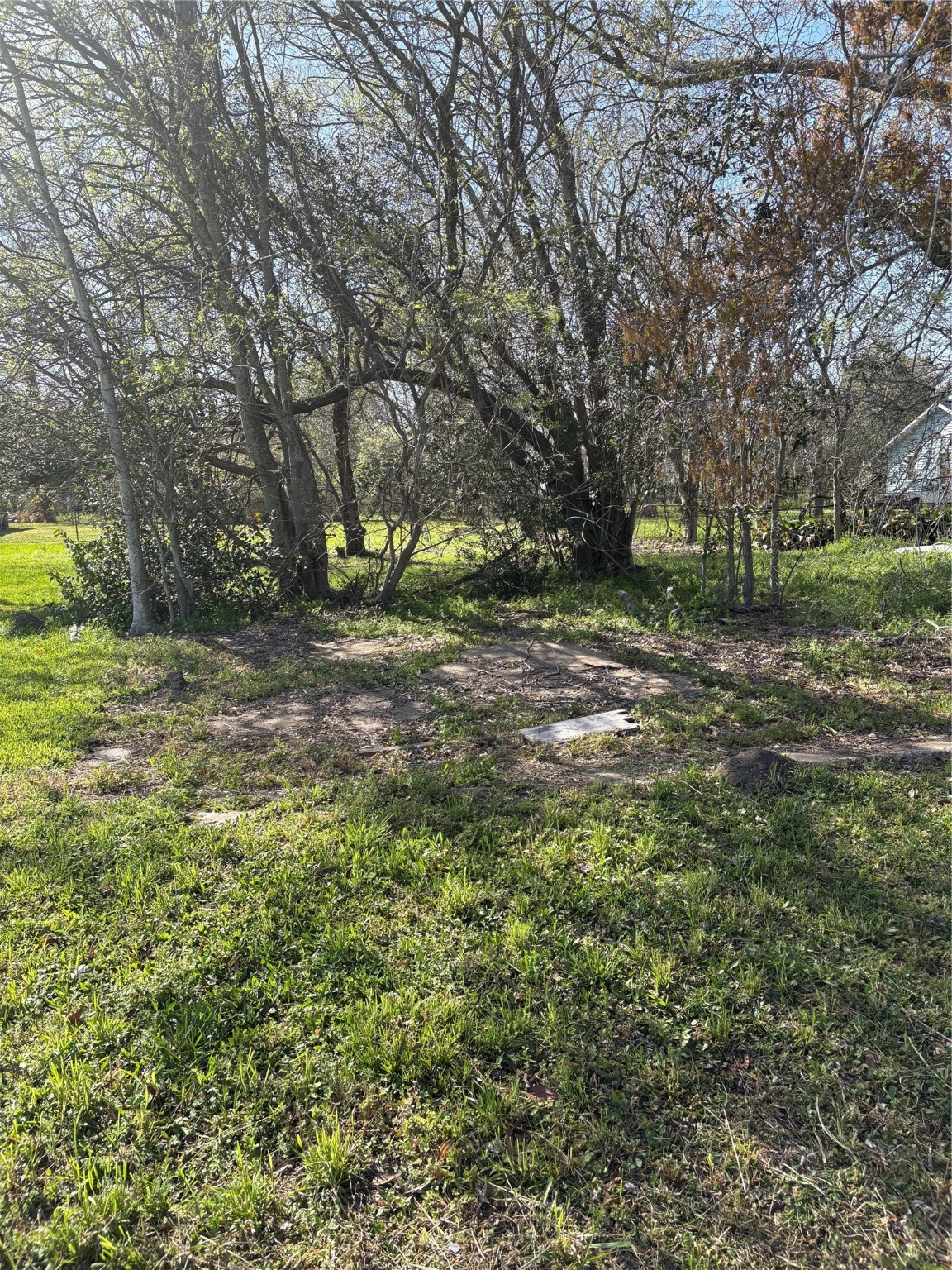 3435 Houston Street Beaumont, TX 77705 - Photo 2 of 4 a view of a tree in the middle of a yard