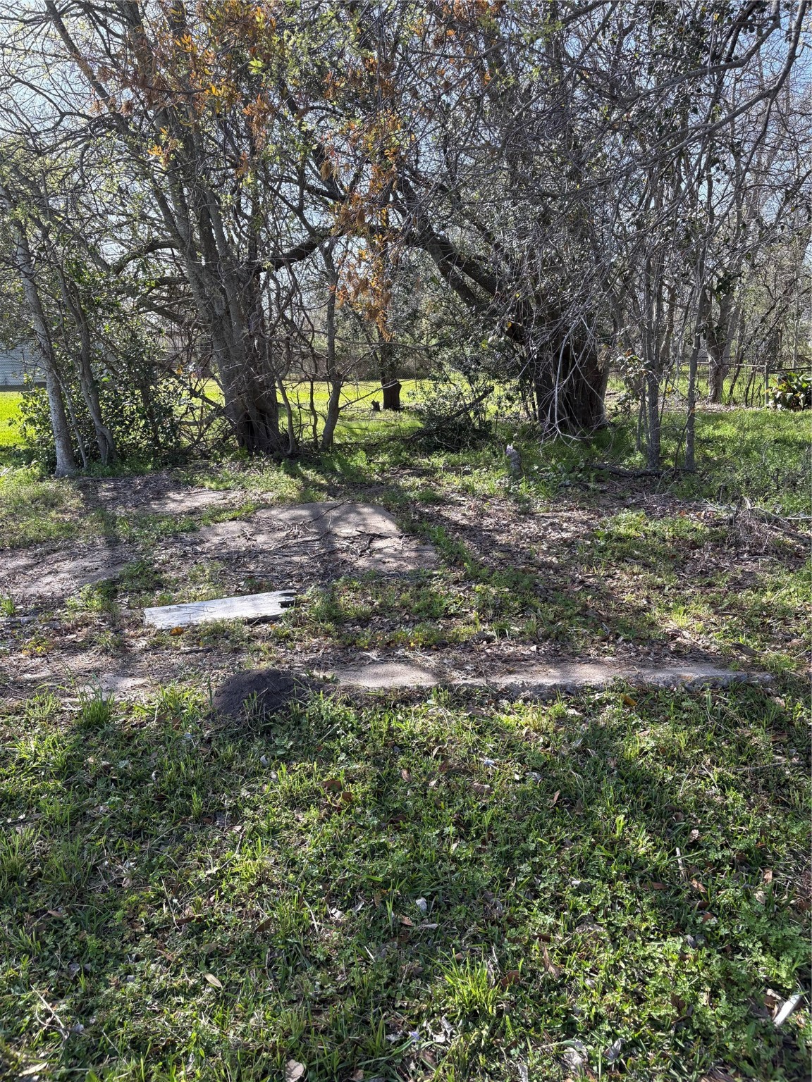 3435 Houston Street Beaumont, TX 77705 - Photo 4 of 4 a view of outdoor space with trees all around