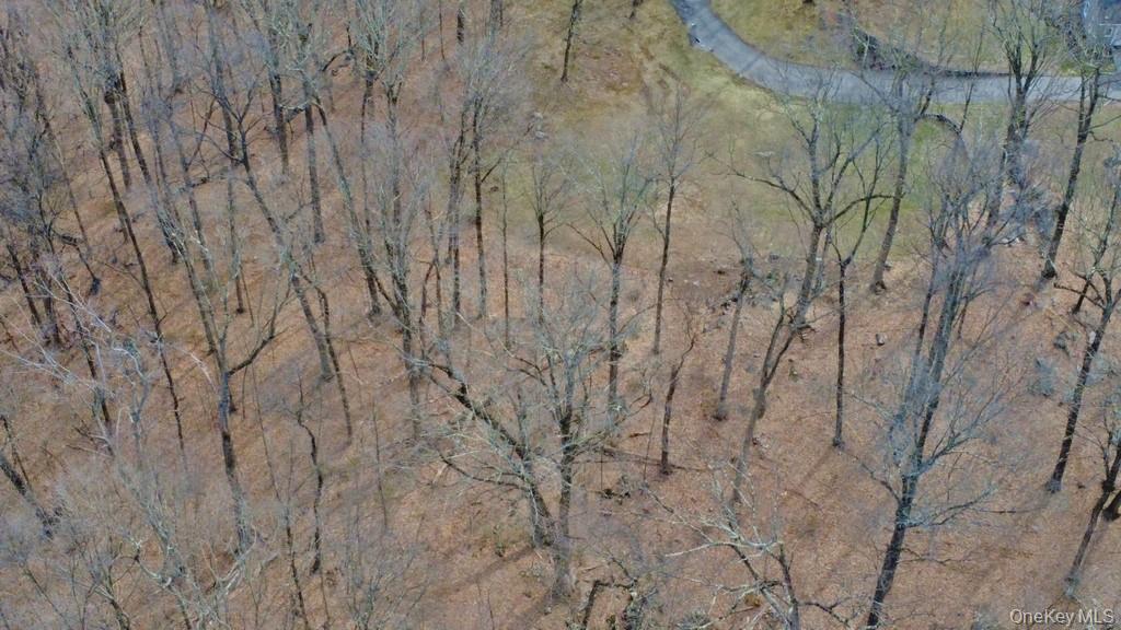 517 A Chappaqua Road Briarcliff Manor, NY 10510 - Photo 11 of 23 Aerial view