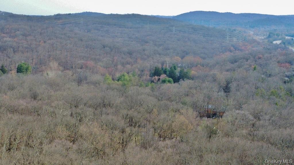 517 A Chappaqua Road Briarcliff Manor, NY 10510 - Photo 12 of 23 Aerial view