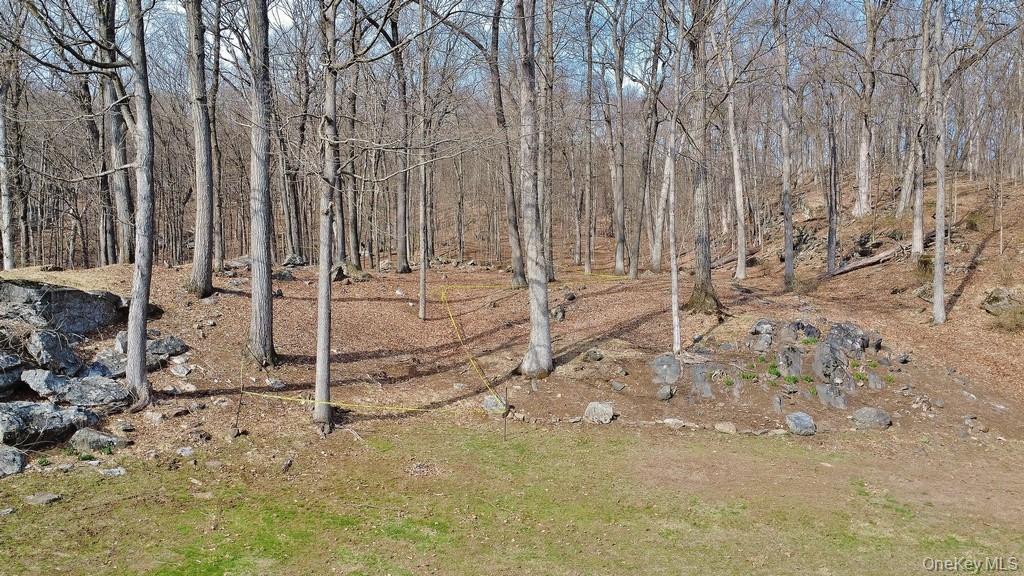517 A Chappaqua Road Briarcliff Manor, NY 10510 - Photo 15 of 23 View of lot