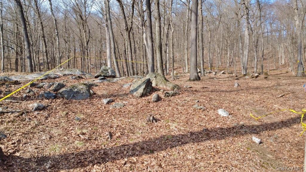 517 A Chappaqua Road Briarcliff Manor, NY 10510 - Photo 16 of 23 View of lot