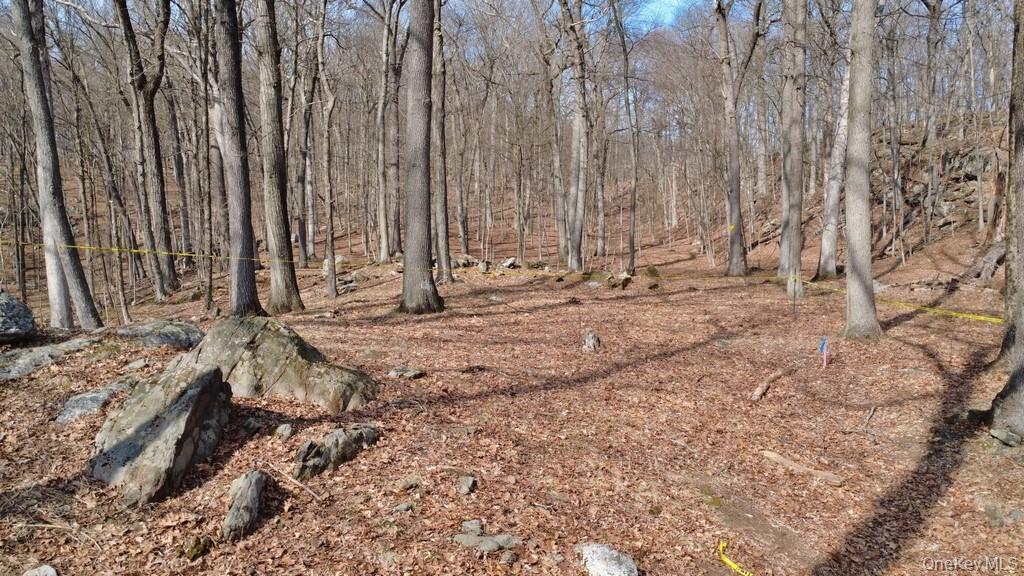 517 A Chappaqua Road Briarcliff Manor, NY 10510 - Photo 17 of 23 View of lot