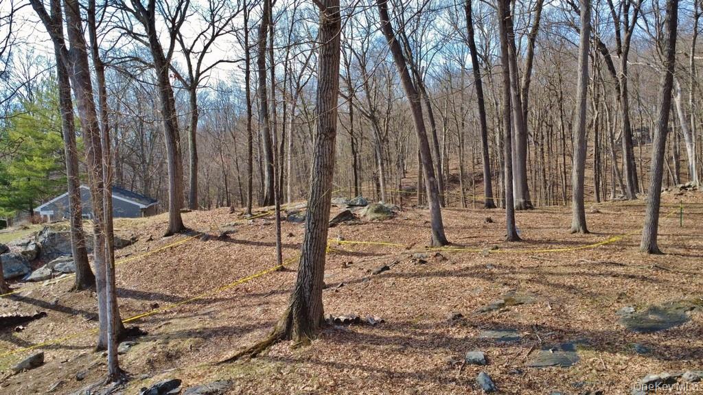 517 A Chappaqua Road Briarcliff Manor, NY 10510 - Photo 18 of 23 View of lot
