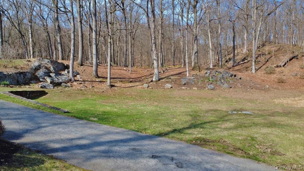 517 A Chappaqua Road Briarcliff Manor, NY 10510 - Photo 19 of 23 View of lot