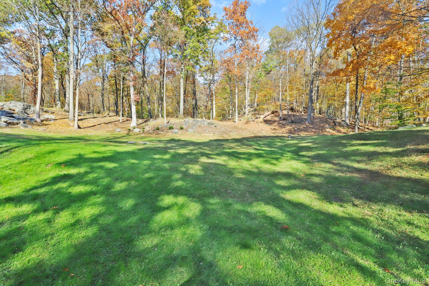 517 A Chappaqua Road Briarcliff Manor, NY 10510 - Photo 9 of 23 View of lot