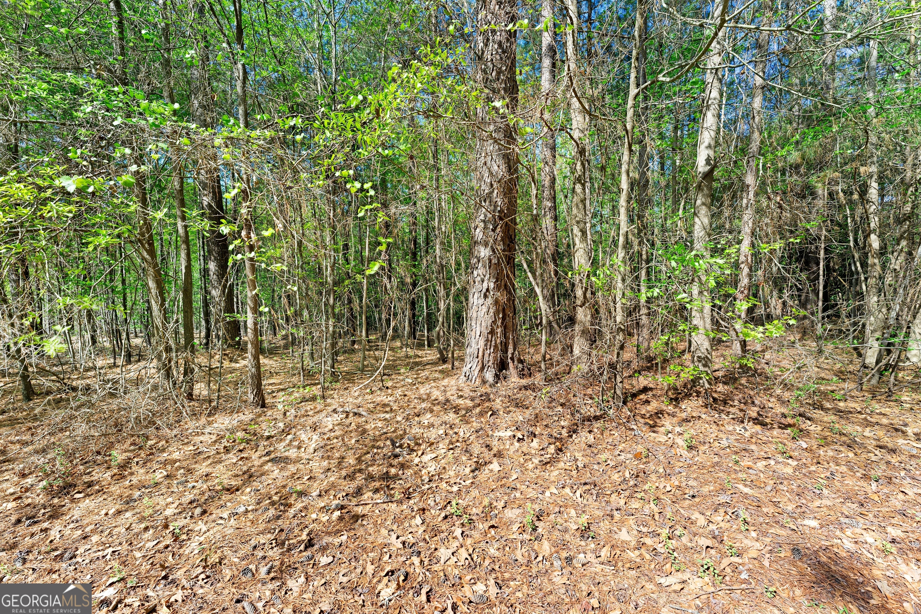 132 Melody Point Hartwell, GA 30643 - Photo 11 of 20 a backyard of a house with lots of green space and trees