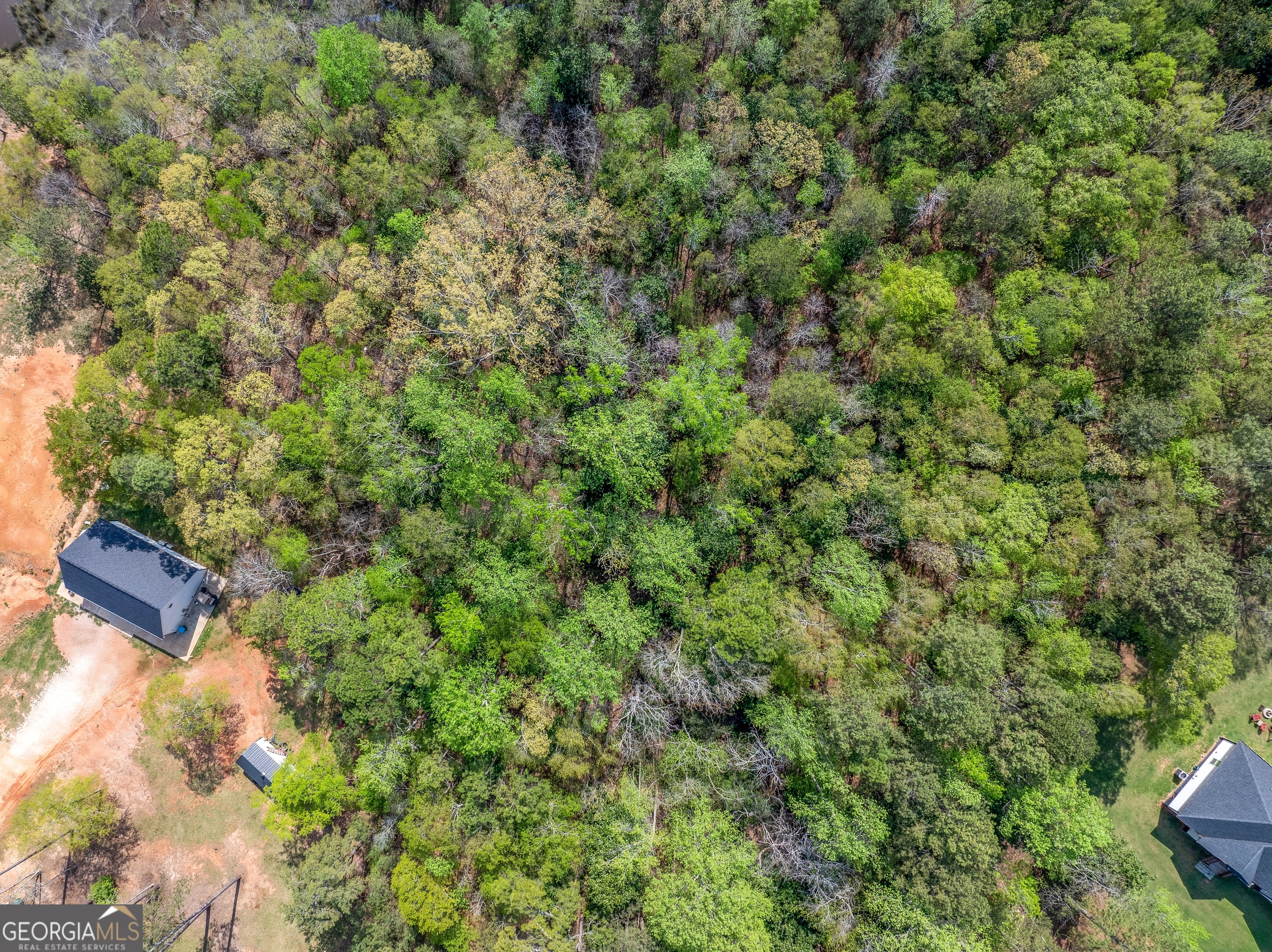 132 Melody Point Hartwell, GA 30643 - Photo 5 of 20 a view of a yard