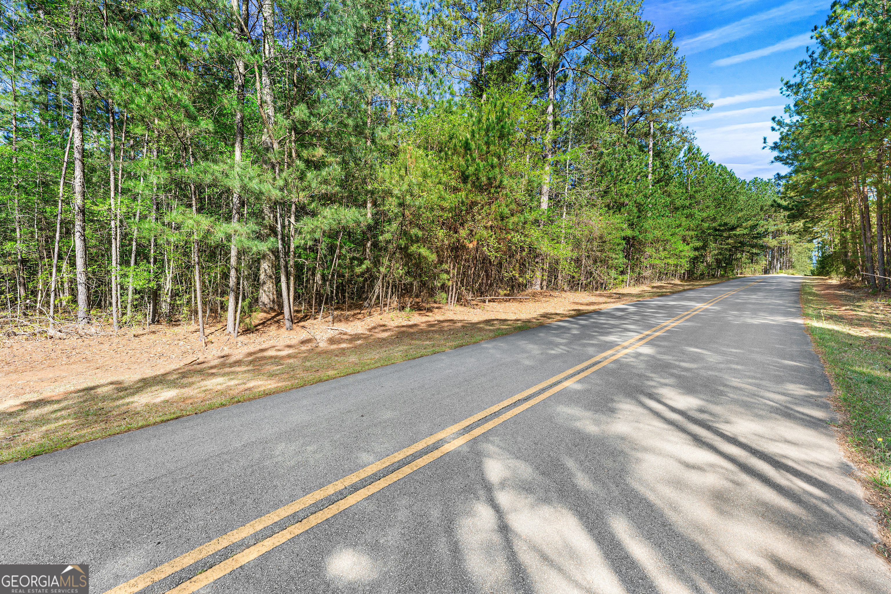 132 Melody Point Hartwell, GA 30643 - Photo 8 of 20 a view of a backyard of a house