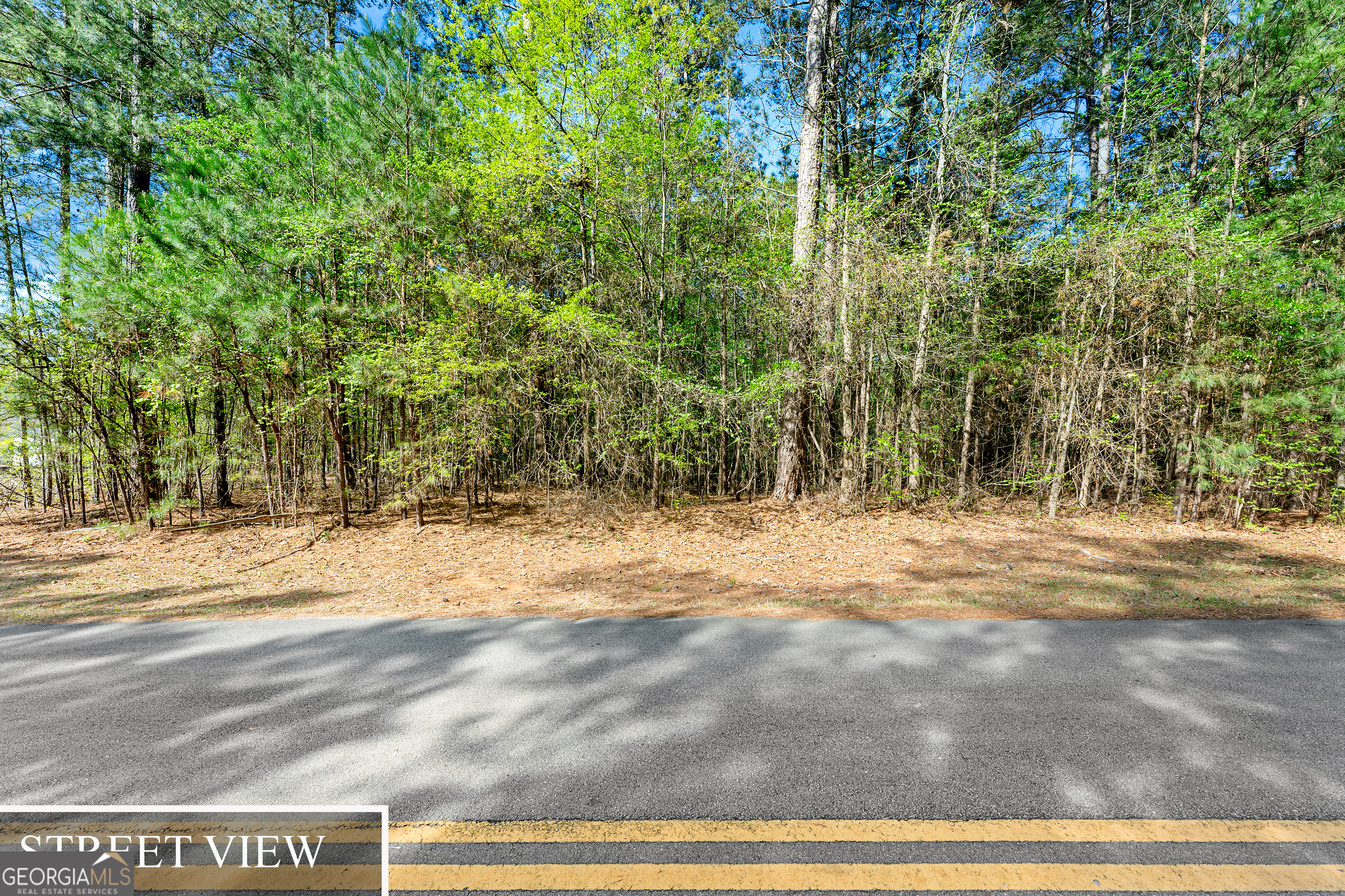 132 Melody Point Hartwell, GA 30643 - Photo 9 of 20 a view of a yard
