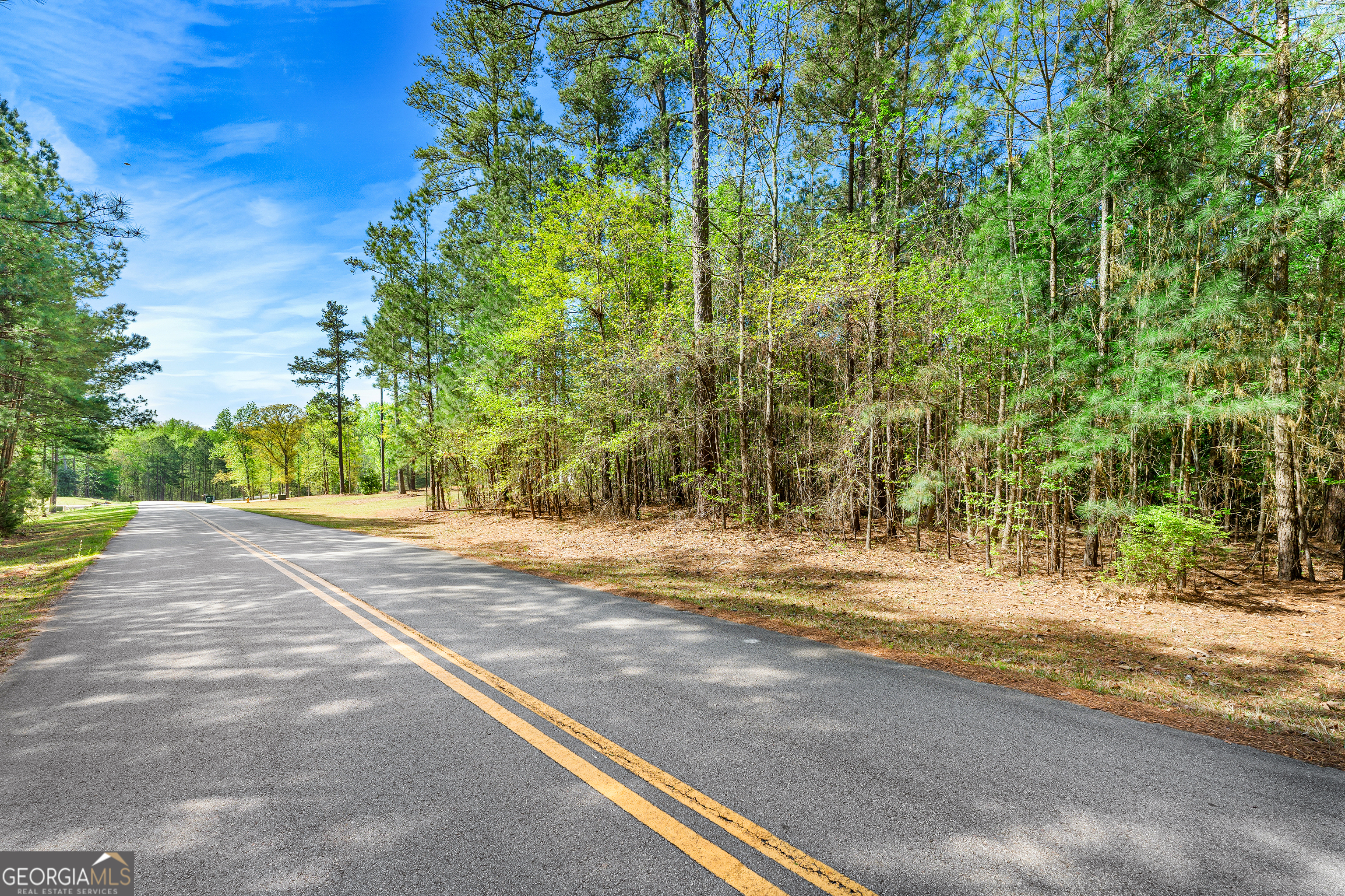 132 Melody Point Hartwell, GA 30643 - Photo 10 of 20 a view of a yard with plants and trees beside of it