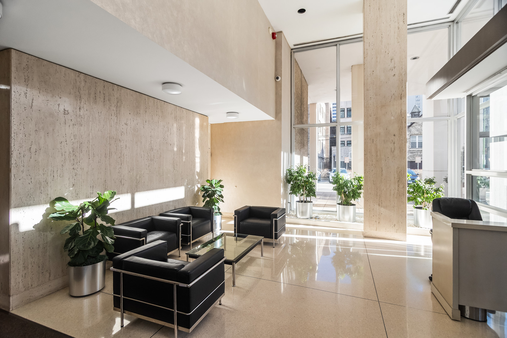 70 West Burton Place, Unit 704F Chicago, IL 60610 - Photo 2 of 13