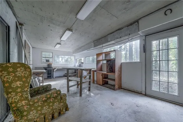 a view of a garden with a tree