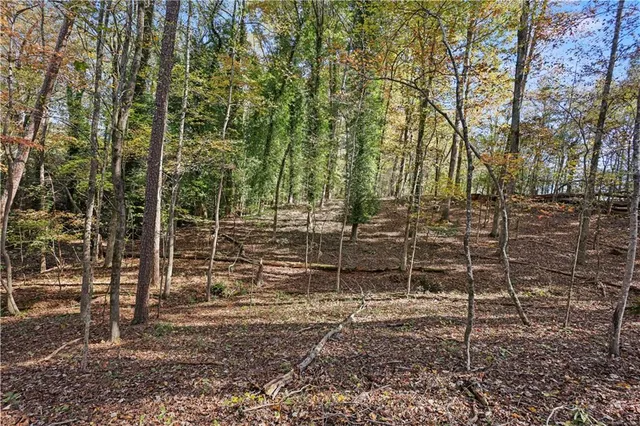 $965,000 | 0 Carson-Graves Road, Watkinsville, GA 30677