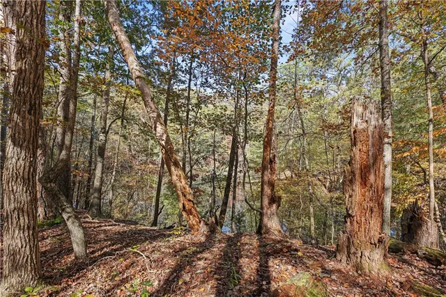 $965,000 | 0 Carson-Graves Road, Watkinsville, GA 30677