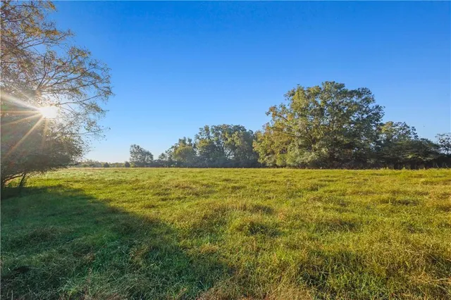 a view of yard with mountain and trees