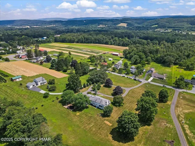 a picture of a white and white photo