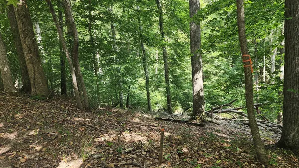 a view of outdoor space and trees