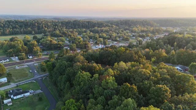 an aerial view of residential houses with outdoor space and trees
