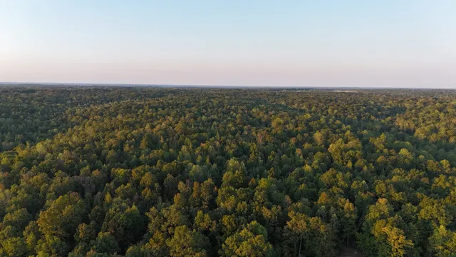 an aerial view of house with yard and mountain view in back