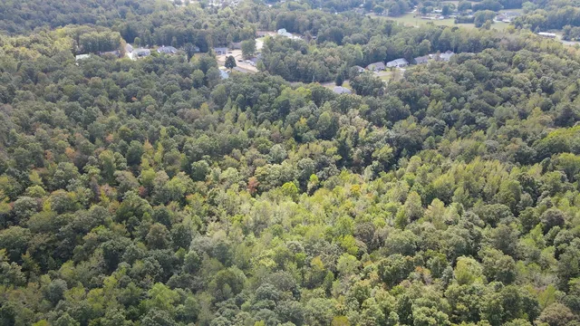 a view of a forest with a houses