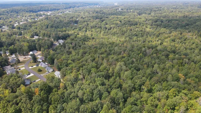 an aerial view of forest
